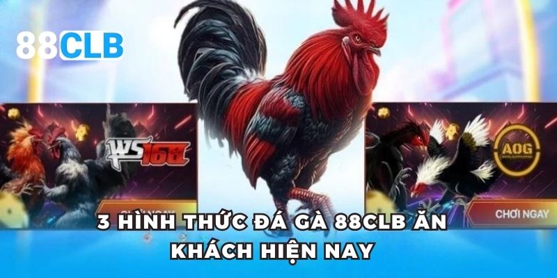 3 hình thức đá gà 88CLB ăn khách hiện nay
