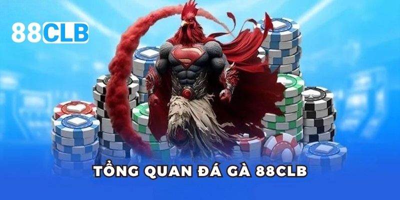 Tổng quan đá gà 88CLB