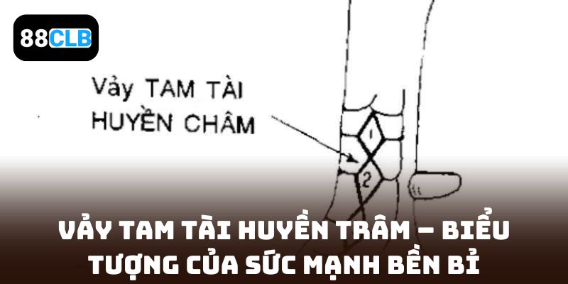 Vảy tam tài huyền trâm – Biểu tượng của sức mạnh bền bỉ